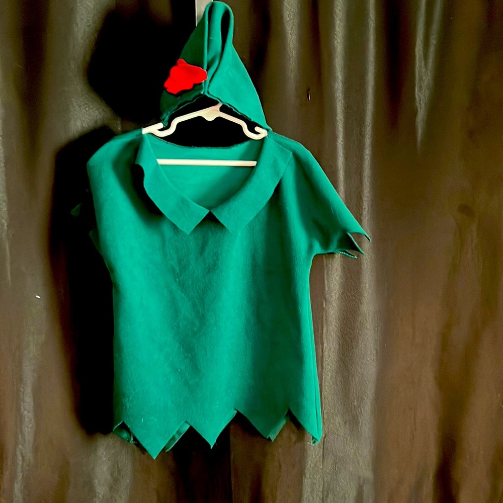 Custom Peter Pan costume.